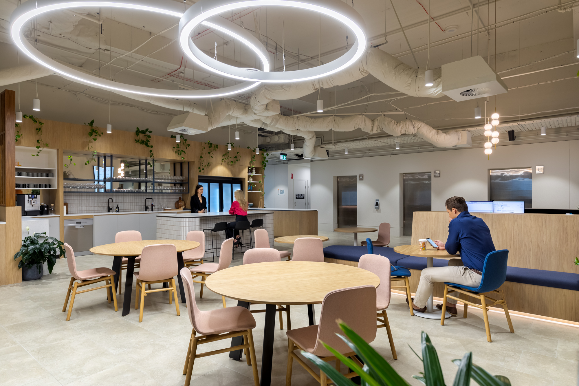 South Bank brisbane virtual office Mobo Co